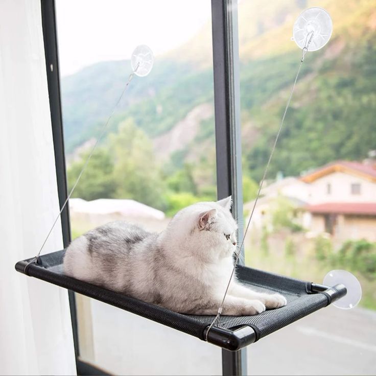 Breathable cat hammock